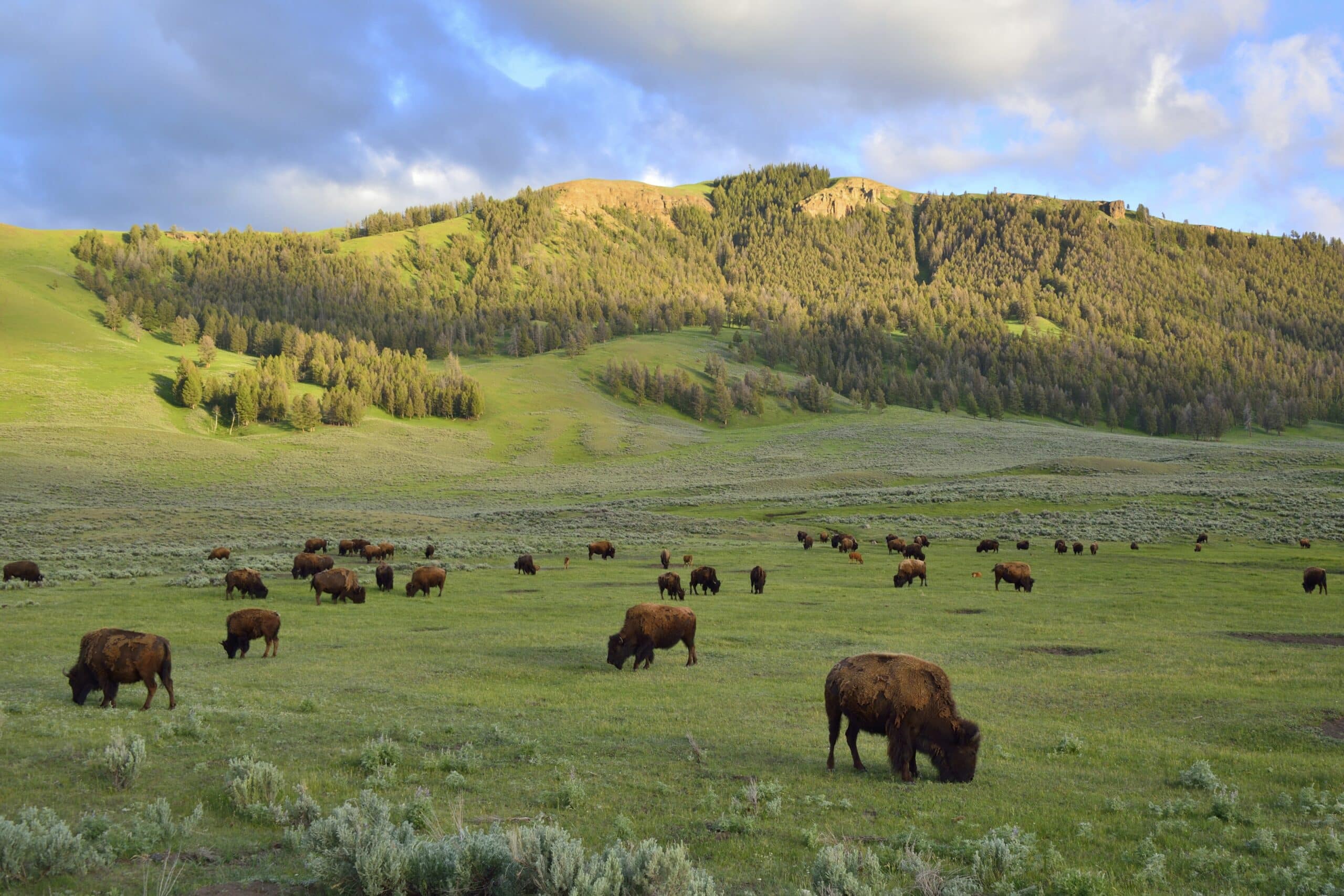 Where To Travel In 2022 Spanish Peaks Mountain Club   IStock 000025703722XXLarge Scaled 